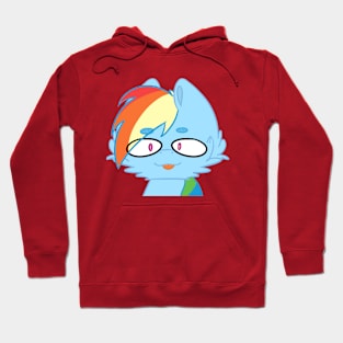 Rainbow Dash Hoodie